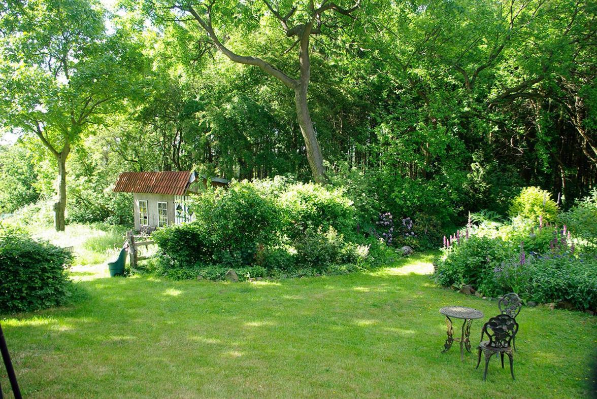 Alte Schule Osteroden Apartamento Merzen Exterior foto