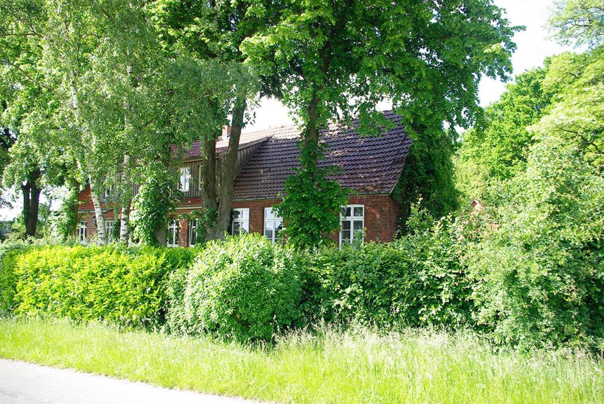Alte Schule Osteroden Apartamento Merzen Exterior foto
